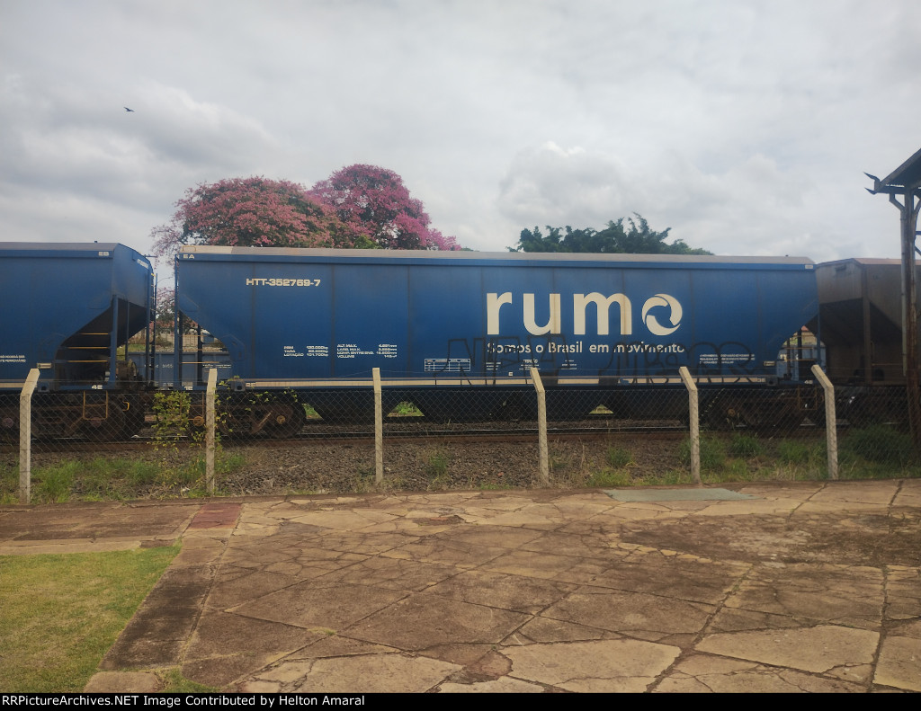 RUMO HTT-352769-7